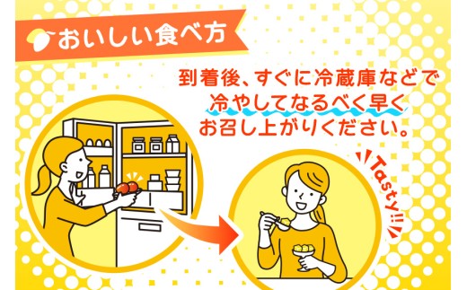 《先行予約 2026年発送》宮古島産マンゴー（2kg×定期便2回）【（株）フラモン】(JH004)