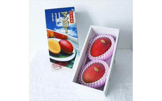 【沖縄フルーツ定期便】母の日ギフトのメロン＆夏ギフトマンゴー｜全2回｜宮古島産 ＜琉球マルシェ＞