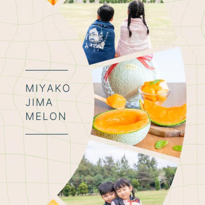 【とみお農園｜農家直送】宮古島産 赤肉メロン 2玉（1玉2kg以上・糖度14度以上）2026年春発送（TN04）