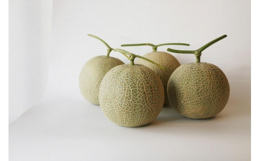 沖縄・宮古島 春メロン【１玉】｜贈答用・高級果物・赤肉メロン（琉球マルシェ）