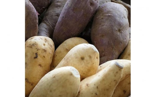 芋八餅10個セット｜沖縄 宮古島  おすすめ  母の日 ギフト