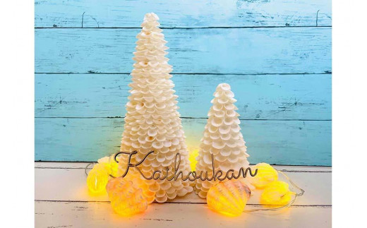 シェルツリーセット【A】