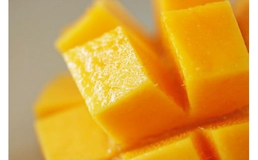 《先行予約》沖縄県宮古島産 減農薬栽培マンゴー 1kg【優品】｜贈答用・糖度14度以上！｜琉球マルシェ