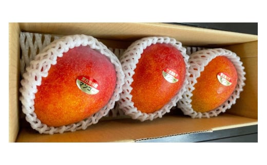 JH023　宮古島 旬の南国フルーツ 定期便【(株)フラモン】