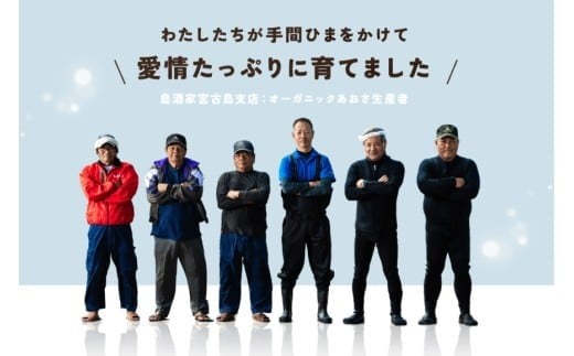 宮古島の環境だから実現できた『オーガニックあおさ』6袋セット（GF002）