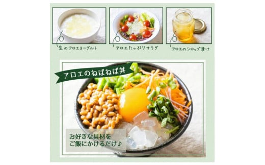 アロエベラ 食用 大きな生葉（10枚～12枚） 沖縄・宮古島産｜有機JAS