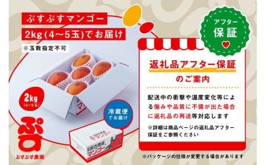 【ぷすぷす農園】＜2026年発送先行予約＞宮古島産完熟マンゴー(家庭用／2キロ／農園直送)（KY002）