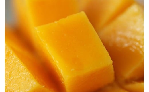 《先行予約》沖縄県宮古島産 減農薬栽培 キーツマンゴー甘濃（かんのう）2玉【琉球マルシェ】