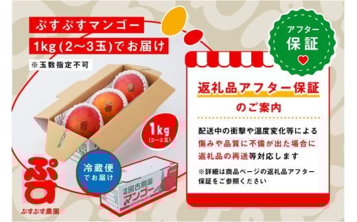 【ぷすぷす農園】＜2026年発送先行予約＞宮古島産完熟マンゴー(家庭用／1キロ／農園直送)（KY001）