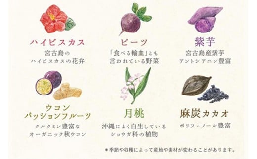 ヴィーガンちんすこう （10～11枚入り）（FE001）