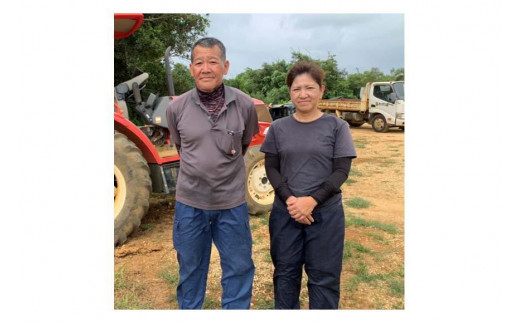 ヤム芋焼酎ずみ　ビンテージタイプ