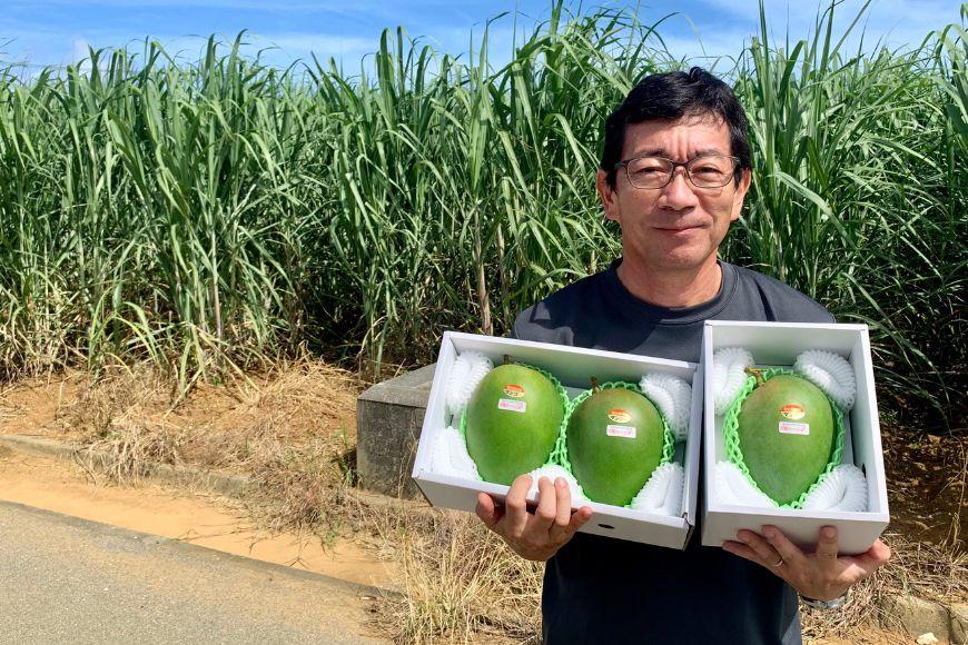 《先行予約 2026年発送》『天使のマンゴー』宮古島産キーツマンゴー《LA MANGUE BLEUE》【ご自宅用】農家直送 1.6kg以上（2個入り）（GZ007）