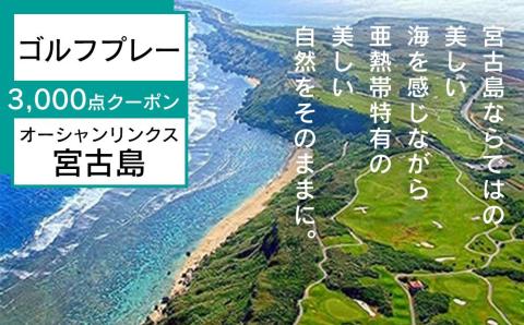 オーシャンリンクス宮古島　プレー3,000点クーポン