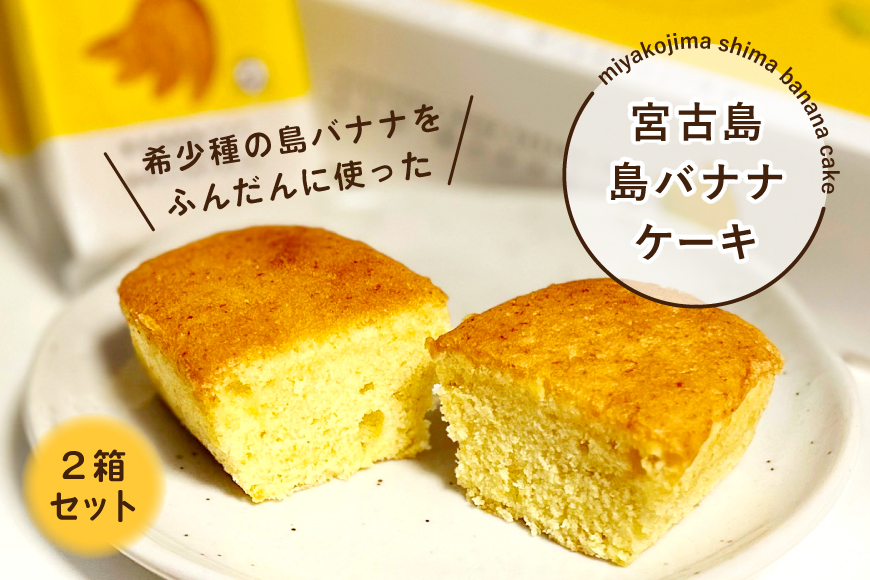 AB107　希少種の島バナナをふんだんに使った『宮古島 島バナナケーキ』2箱セット