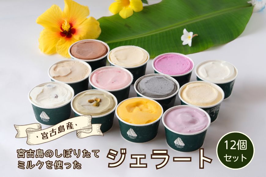 C101　ジェラート12個セット | トロピカル 夏ギフト お中元 夏 クリスマス アイス 詰め合わせ セット ジェラート おやつ お菓子 スイーツ