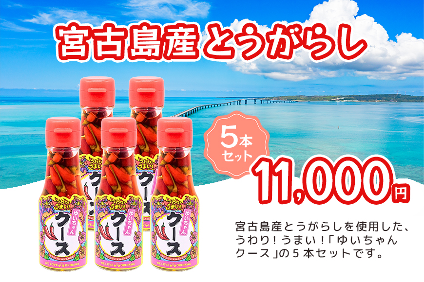 DQ042　うわり！うまい！「ゆいちゃんクース」5本セット