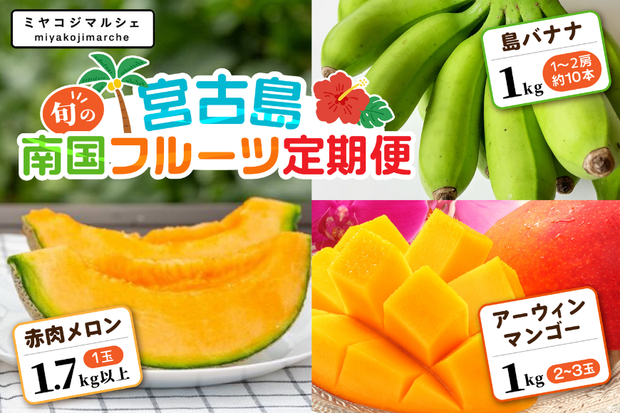 JH023　宮古島 旬の南国フルーツ 定期便【(株)フラモン】