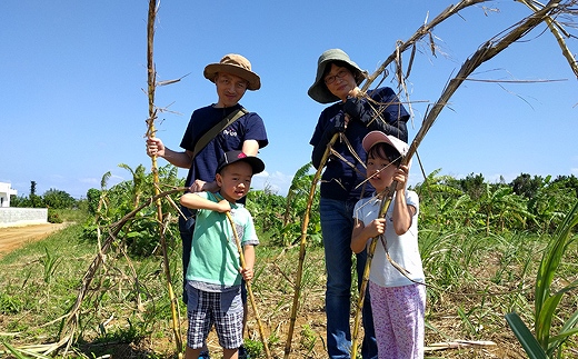 黒糖＆バナナスイーツ作り体験