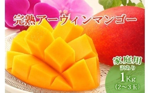 【先行受付】＜2026年発送＞いらぶ島マンゴー園　宮古島産“完熟アーウィンマンゴー”《家庭用》1kg（HR04）