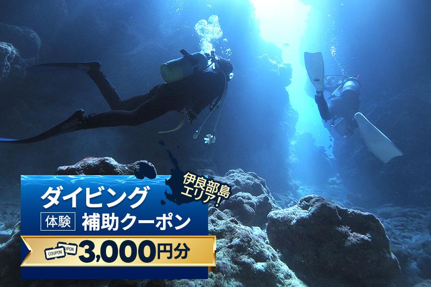 『ダイビング体験補助クーポン（3,000円分）』沖縄県・宮古島(HWM01)