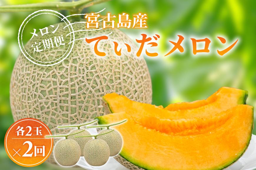 【メロン定期便】宮古島産てぃだメロン 2玉《2025年冬・2026年春発送》＜8farm＞（JC002）