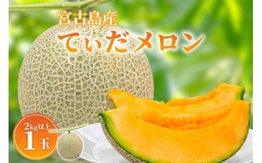 ＜先行受付＞【8farm】宮古島産てぃだメロン1玉（2kg以上）《2026年12月～2027年1月発送》（JC010）