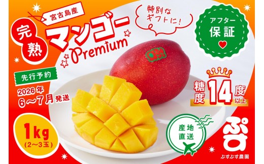 【ぷすぷす農園】＜2026年発送先行予約＞宮古島産完熟マンゴープレミアム（贈答用／1キロ／農園直送）（KY003）