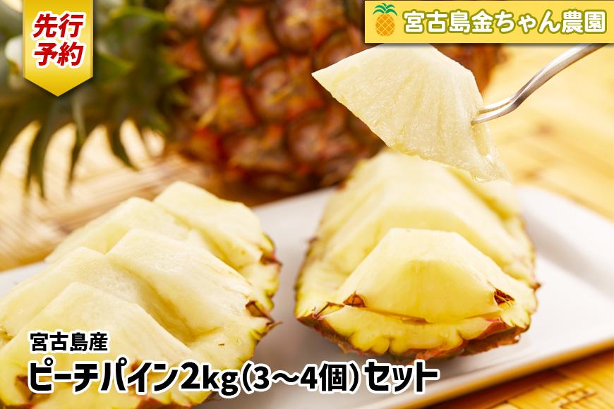 《先行予約》【2026年発送】宮古島産ピーチパイン 2kg（3～4個）セット《金ちゃん農園》（AK107）