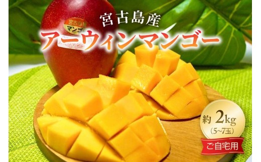 GZ003《先行予約2026年発送》宮古島産アーウィンマンゴー 約2kg（5～7個）【ご自宅用】「LA MANGUE BLEUE」農家直送