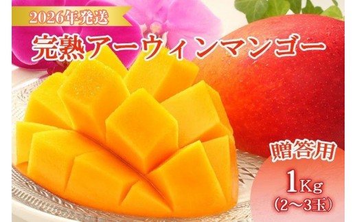 ＜先行予約2026年発送＞宮古島産“完熟アーウィンマンゴー”《贈答用》1kg【福来多まつばらマンゴー園】（MF01）