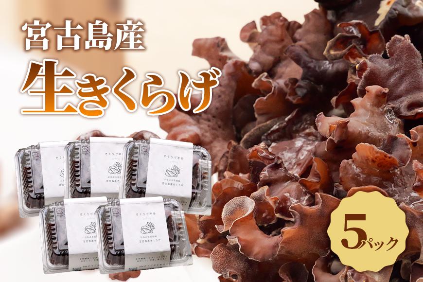 宮古島産生きくらげ（５パック）（KD01）