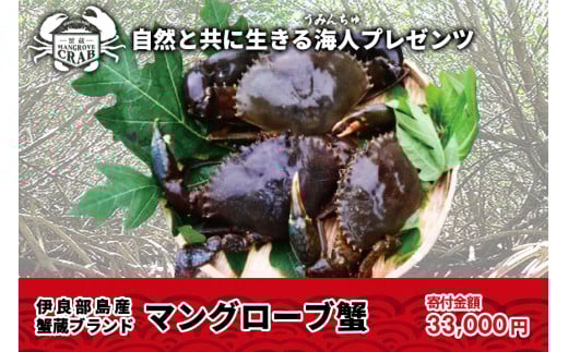 蟹蔵のマングローブ蟹