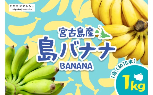 宮古島産バナナ1kg【（株）フラモン】（JH007）