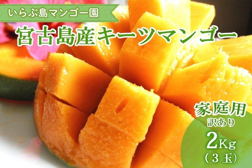 【先行受付】＜2026年年発送＞いらぶ島マンゴー園　宮古島産希少“キーツマンゴー”《家庭用》2kg(3玉)（HR09）