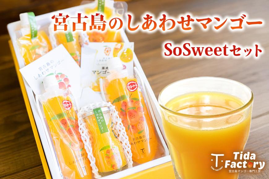 宮古島のしあわせマンゴー　SoSweetセット(T116)