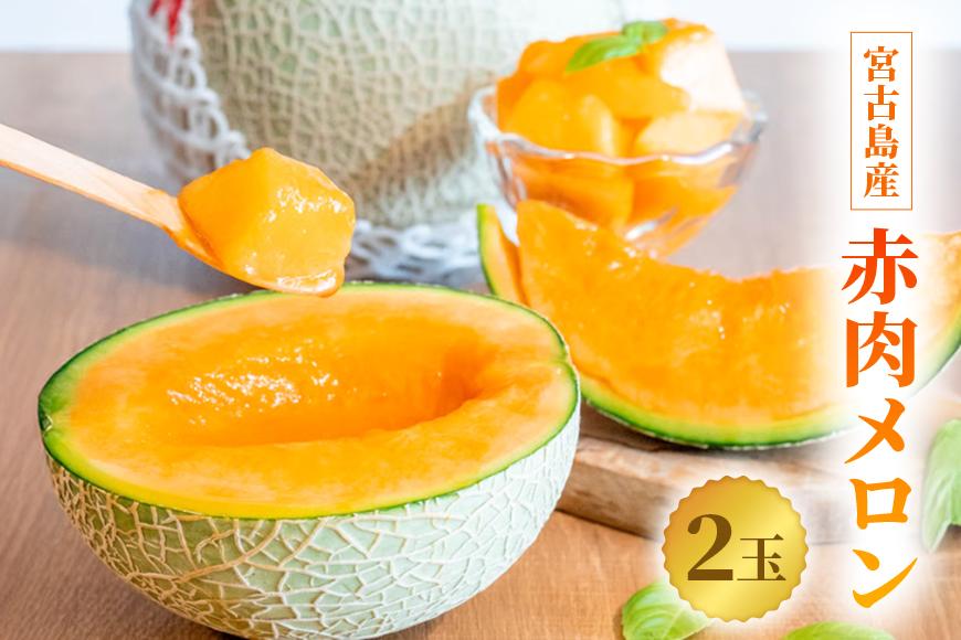 【とみお農園｜農家直送】宮古島産 赤肉メロン 2玉（1玉2kg前後・糖度14度以上）2026年春発送（TN04）