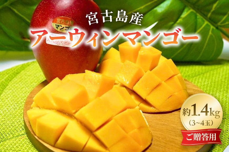 《先行予約 2026年発送》『天使のマンゴー』宮古島産アーウィンマンゴー 約1.4kg （3玉〜4玉）【ご贈答用】「LA MANGUE BLEUE」農家直送（GZ001）