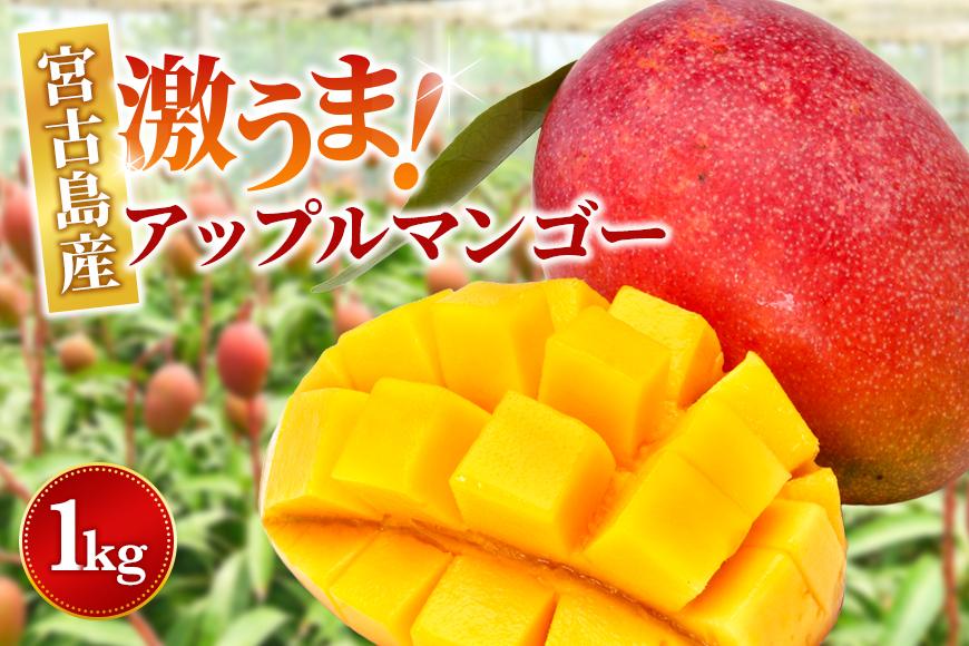 ＜2026年夏発送＞【家庭用】激うま！宮古島産アップルマンゴー1kg(2～3玉)ふれあいフルーツ宮古島(FA01)