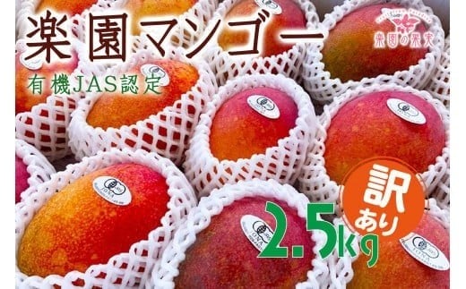 《先行予約》2026年発送 有機JAS認証マンゴー（アーウィン）わけあり 2.5kg【楽園の果実】(DQ021)