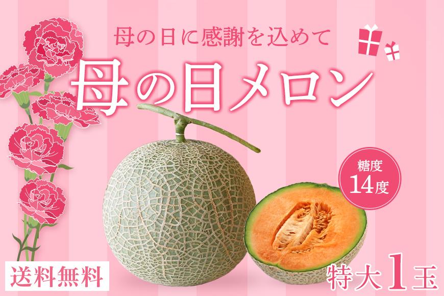 母の日ギフト 母の日メロン【特大１玉】｜沖縄・宮古島産（琉球マルシェ）