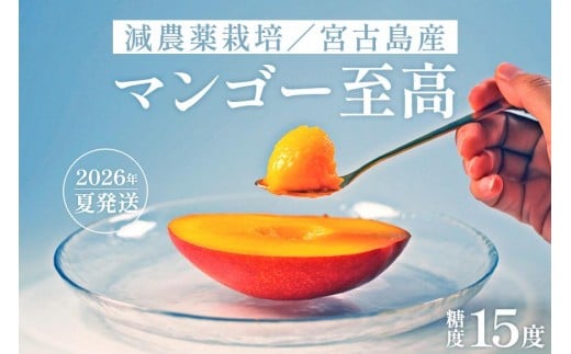 《先行予約》沖縄県宮古島産 減農薬栽培マンゴー 1kg【最良品】｜贈答用・糖度15度以上！｜琉球マルシェ