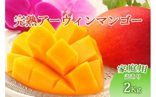 【先行受付】＜2026年発送＞いらぶ島マンゴー園　宮古島産“完熟アーウィンマンゴー”《家庭用》2kg（HR05）