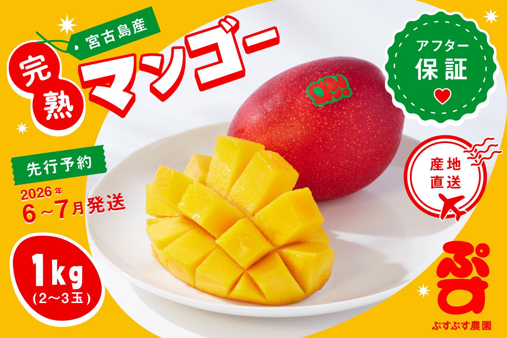 【ぷすぷす農園】＜2026年発送先行予約＞宮古島産完熟マンゴー(家庭用／1キロ／農園直送)（KY001）
