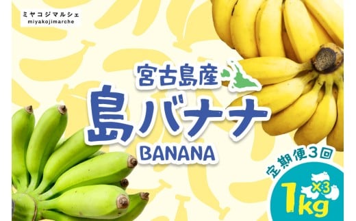 JH009　宮古島産バナナ（1㎏×定期便3回）【（株）フラモン】