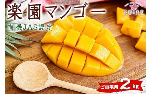 DQ018《先行予約》2026年発送 有機JAS認証マンゴー（アーウィン）ご自宅用 2kg【楽園の果実】