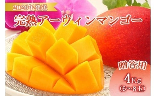 ＜先行予約2026年発送＞宮古島産“完熟アーウィンマンゴー”《贈答用》4kg【福来多まつばらマンゴー園】（MF03）