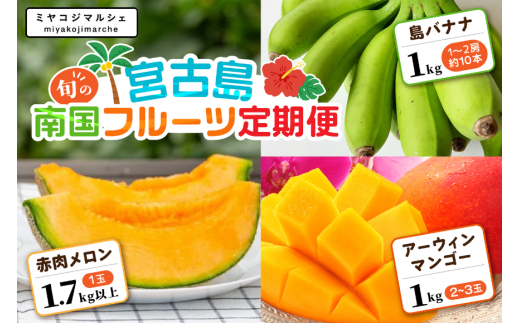 JH023　宮古島 旬の南国フルーツ 定期便【(株)フラモン】