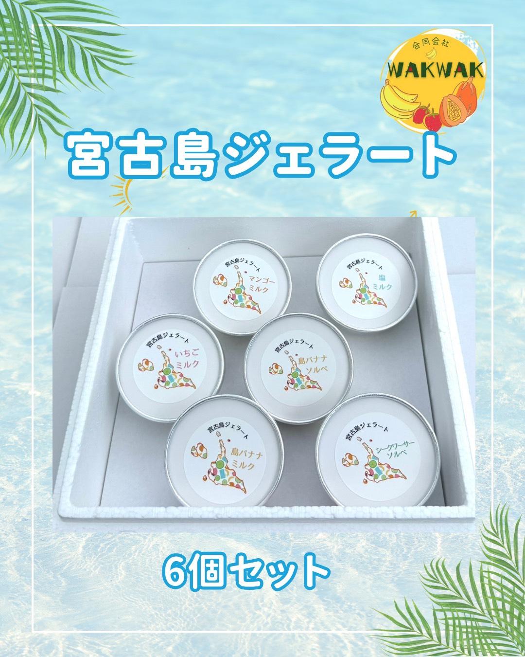 【宮古島産フルーツ使用】宮古島ジェラート 贅沢6種食べ比べセット（WK01）