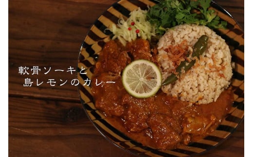 MOSESU CURRYの島カレーシリーズ　軟骨ソーキと島レモンのカレー 250g×6食（FP001）