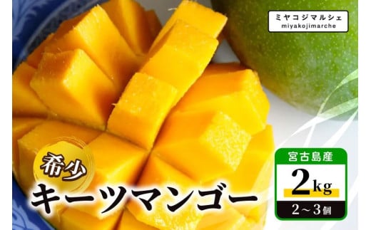 《先行予約 2026年発送》宮古島産 希少 キーツマンゴー2kg【(株)フラモン】(JH014)
